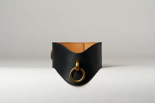 Andromeda Leather Posture Collar
