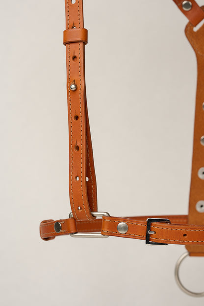 Gemma Leather High Waist Harness