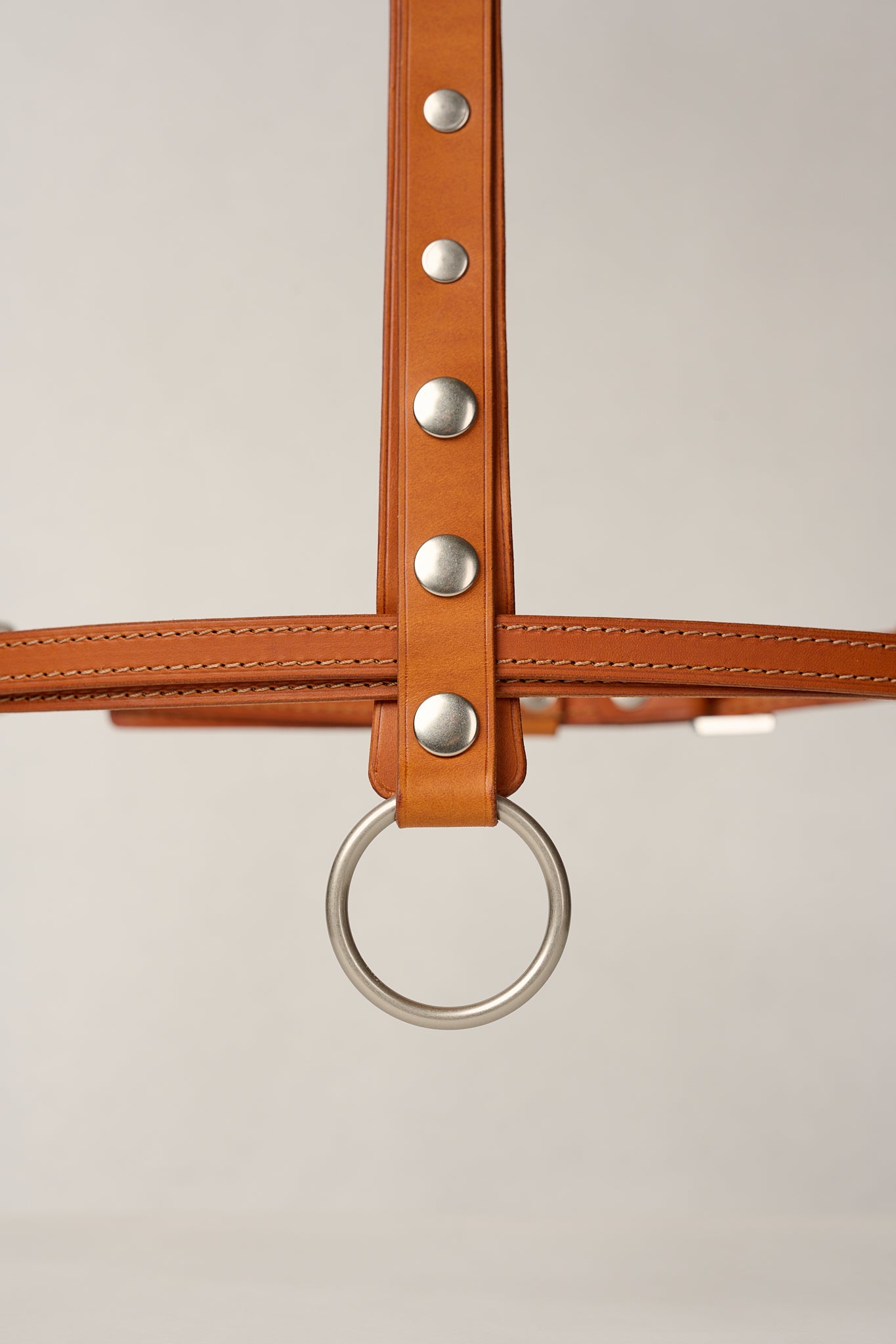 Gemma Leather High Waist Harness