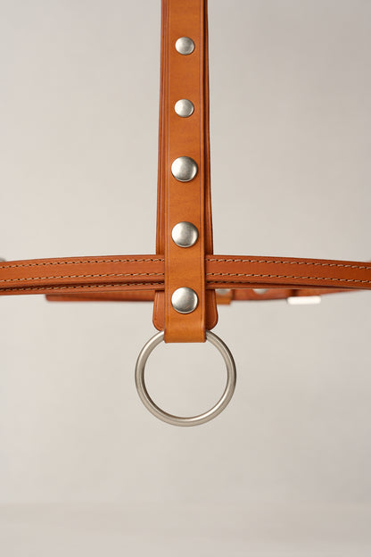 Gemma Leather High Waist Harness