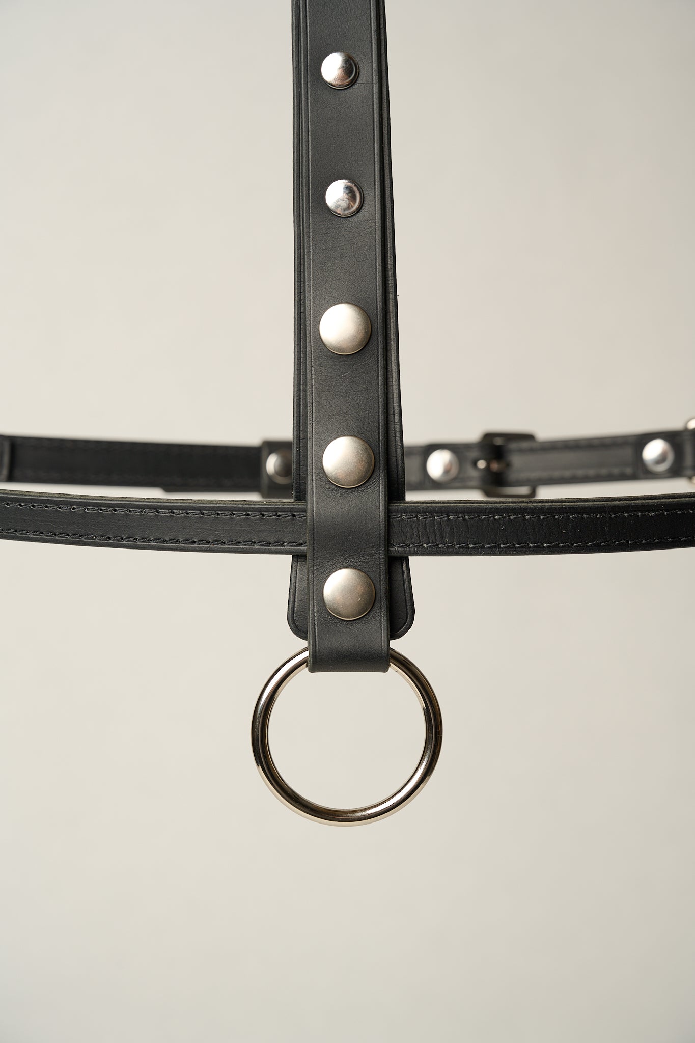 Gemma Leather High Waist Harness