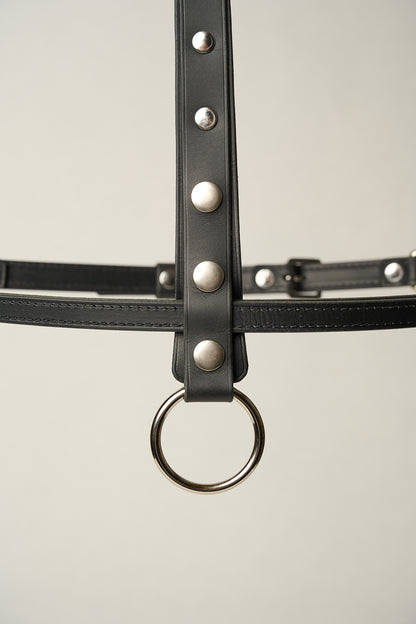 Gemma Leather High Waist Harness