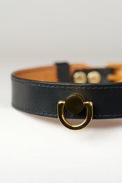 A close-up image of a luxury leather necklace with a gold stainless steel buckle, predominantly black in color.