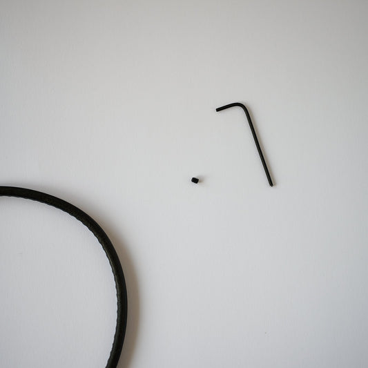 Small black screw and Allen wrench on a light gray background