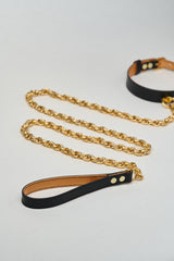 The Serpent and The Muse | Gold Luxury Leather Choker & Lead