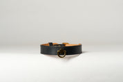 Black leather necklace choker  with gold ring on a white background