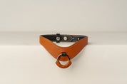 Brown leather necklace with a ring on a beige background