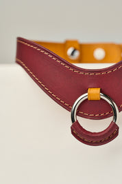 Close-up of a burgundy leather necklace with a silver ring and yellow accent on a light background