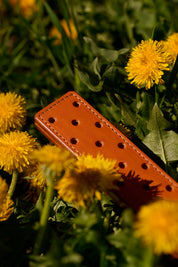 fenestrated leather strap orange brown laying in field of dandelions