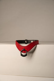 red and black leather necklace with a ring on a beige background